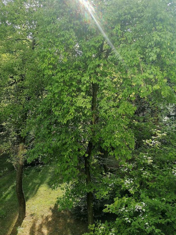 Sunny And Lovely Apartment. Near Chopin Airport! Varsóvia Exterior foto